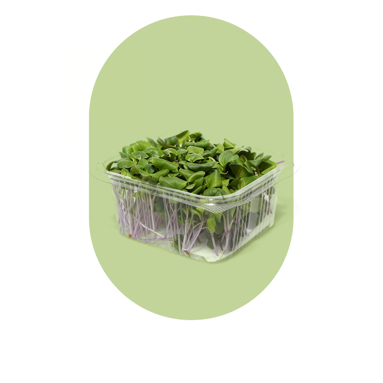 Micro Vegetais Embalados