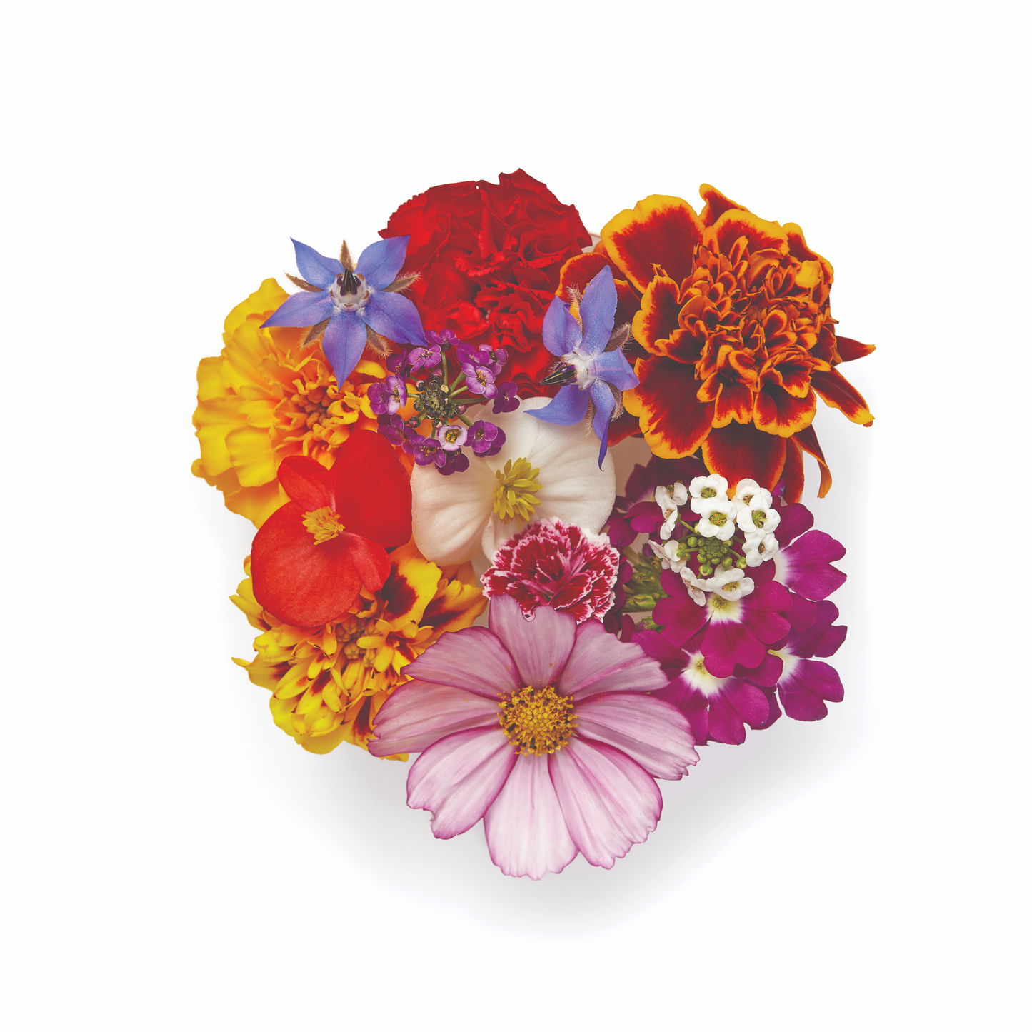 Mix de Flores