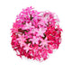 Pentas