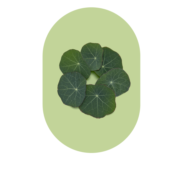 Test Product