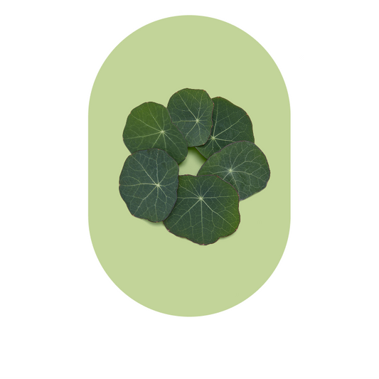 Test Product