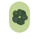 Test Product
